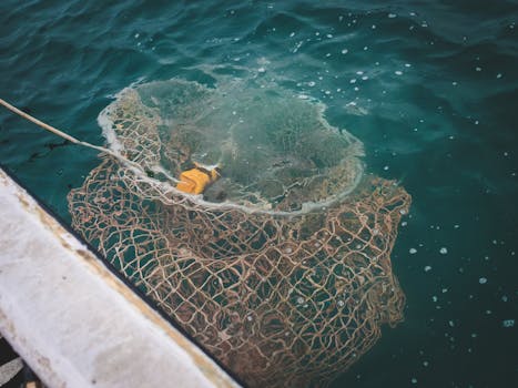 Beyond the Horizon: Deconstructing the Strategic Imperative of an Offshore Software Center