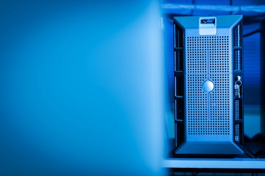 Beyond the Binary: What Exactly is a Femboy Server?